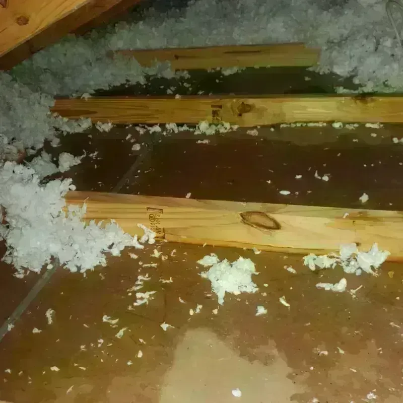 Attic Water Damage in Prague, OK